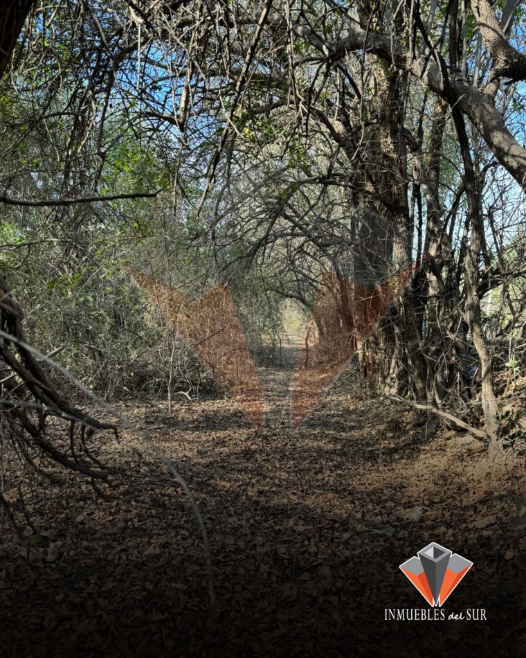 EXCELENTE OPORTUNIDAD DE INVERSION EN CORDOBA 